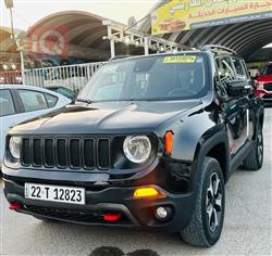 جيب رينيجيد